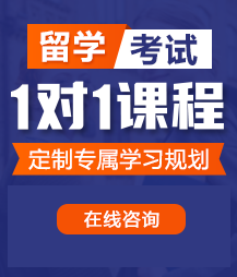 操骚逼亚洲留学考试一对一精品课